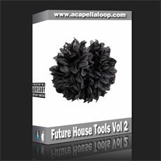 舞曲制作素材/Future House Tools Vol 2